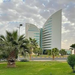 أكثر من 200 طالبًا وطالبةً يشاركون في معسكر الذكاء الاصطناعي بجامعة جازان