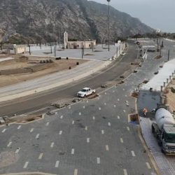بدء التسجيل في دورات منصة (Nux) المجتمعية في جامعة نجران
