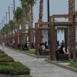 أمير جازان يتسلّم تقرير فرع الجمعية السعودية لطب حديثي الولادة بالمنطقة