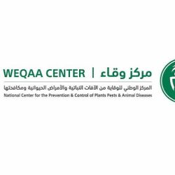 جمعية “غراس” لرعاية الأيتام بجازان تستعرض منجزات النصف الأول من عام 2026