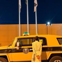 في اليوم العالمي لصون النظام الإيكولوجي لغابات المانجروف.. أكثر من 23 مليون شجرة تعزز استدامة البيئة الساحلية في جازان
