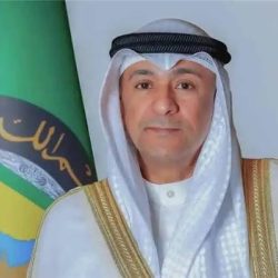 رئيس الوزراء اليمني يستقبل مدير البرنامج السعودي للإعمار في عدن