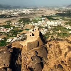 جمعية “غراس” لرعاية الأيتام بجازان تستعرض منجزات النصف الأول من عام 2026