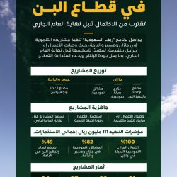 وزير الخارجية يتلقى اتصالين هاتفيين من وزيري خارجية قطر والأردن