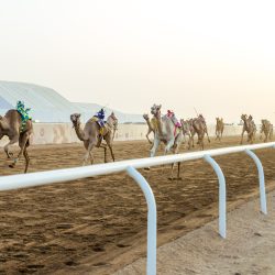 مجلس الشورى يشارك في اجتماع اللجنة البرلمانية الخليجية – الأوروبية العاشر