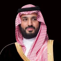 “عن بُعد بالكامل”.. جامعة جازان ممثله بمعد البحوث والخدمات الاستشارية تطرح برامج مهنية معتمدة تلامس احتياجات سوق العمل