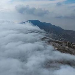 نائب أمير جازان يستقبل مدير فرع صندوق تنمية الموارد البشرية بالمنطقة
