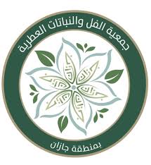 بيت الثقافة بجازان يمكّن المشاركين من مهارات الذكاء الاصطناعي عبر معسكر تدريبي