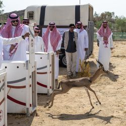 حالة الطقس المتوقعة اليوم في المملكة