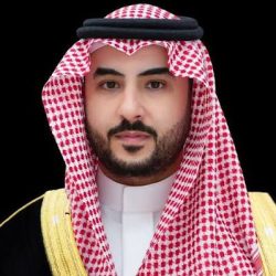 المباني الصناعية الجاهزة.. بنية متكاملة تسرّع نمو الاستثمار في مدينة جازان للصناعات الأساسية والتحويلية