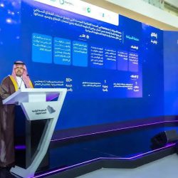 جامعة جازان تعزز مسيرة الاعتماد الأكاديمي بـ95% من برامج البكالوريوس المؤهلة
