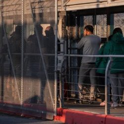 «عش بصحة» تعقد جلستها الثانية لتعزيز الوعي الصحي الرقمي