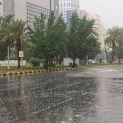 الجاليات العربية والإسلامية تشارك أهالي منطقة جازان فرحة اليوم الوطني السعودي