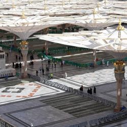 حرس الحدود يحبط تهريب 34,050 قرصًا خاضعًا لتنظيم التداول الطبي بجازان