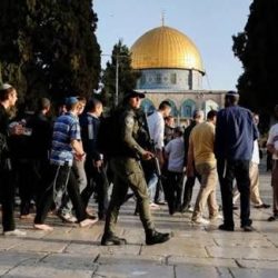 مصر تدين الاعتداءات على المملكة وتحذر من تصعيد التوتر الإقليمي