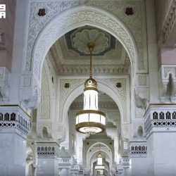 «يجب أن نُبطئ».. رئيس «أنثروبيك» يحذر من سرب ذكاء اصطناعي قد «يستولي على الإنترنت كله» خلال عام