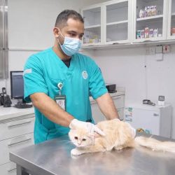 كاليفورنيا تعترف بعيدي الفطر والأضحى في قانون الولاية.. وتتيح للموظفين والمدارس الاحتفال بهما