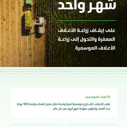 خدمات متكاملة وجهود متواصلة تعزز جودة العناية بقاصدي الحرمين الشريفين