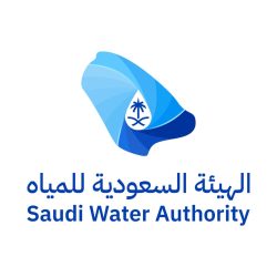 التحالف: اعتراض وتدمير صاروخ مجنح (كروز) بمنطقة المدينة المنورة
