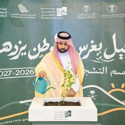 “الأرصاد” تُنبّه من أمطار غزيرة على منطقة جازان