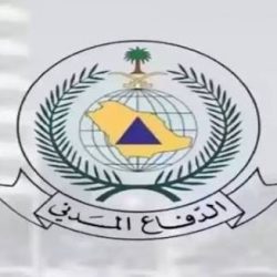 الربيعة يعلن إتمام مرحلة فصل التوأم التنزاني «لوفنيس» و«لايتنيس»