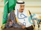 وزير خارجية مصر: قوة الردع العربية ستبقى في بلدانها بلا مقر موحد