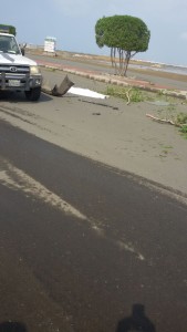 8f583a3f-8373-4849-8f2d-2b0a0c6d4e48