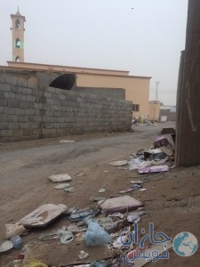 AvSDShMt72_ccD86QfreCU1GfgGor1RwdnC080my9S_3-225x300