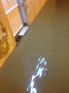 IMG-20160729-WA0054-300x400