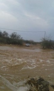 IMG-20160802-WA0011-240x400