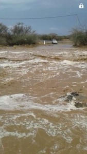 IMG-20160802-WA0013-225x400