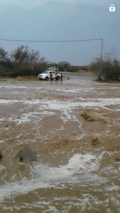 IMG-20160802-WA0014-225x400