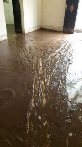 IMG-20160802-WA0019-225x400