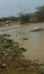 IMG-20160802-WA0021-241x400