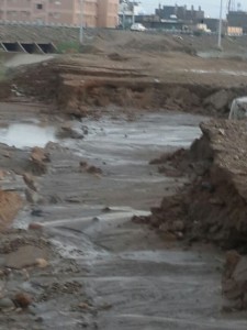 IMG-20160804-WA0044-768x1024