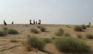 img-20161201-wa0251-1024x597