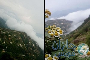 Untitled-1-Recovered-Recovered_46