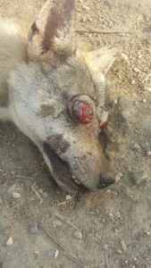 ce589ff5-dcc5-45cd-91cb-bfd30add79f2