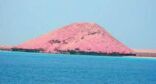 “جزيرة جبل الليث البحرية” إحدى الوجهات السياحية الواعدة