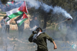 فلسطينيون وإسرائيليون في مسيرة احتجاجية ضد بناء “الجدار العازل”