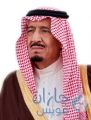 الملك سلمان: #عاصفة_الحزم ستدعم السلم والأمن الاقليمي والدولي