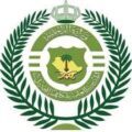 دوريات الأفواج الأمنية بمنطقة جازان تحبط تهريب 61 كيلوجرامًا من نبات القات المخدر