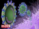 الرياض تسجل “4 حالات” إصابه جديدة بـفيروس «كورونا»