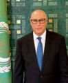الأمين العام المساعد لقطاع الإعلام بالجامعة العربية: القضية الفلسطينية فرضت نفسها على أجندة الأمم المتحدة بتواتر الاعترافات الدولية