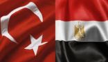 مصر وتركيا يخفضان مستوى التمثيل الدبلوماسي إلى القائم بالأعمال