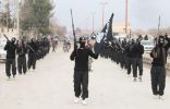 “القاعدة” تنفي صلتها بتنظيم “داعش” في العراق وسوريا