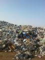 بالصور .. تجدد أزمة محرقة النفايات تهدد حياة أهالي مركز الحكامية