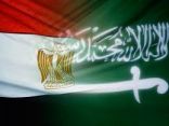 مصر طلبت مساعدات سعودية لتطوير الصناعات العسكرية الدفاعية