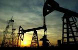 “التايم” الأمريكية: حقول النفط السعودية .. جائزة داعش الكبرى!
