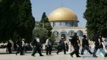 مستوطنون يهود يقتحمون المسجد الأقصى من باب المغاربة